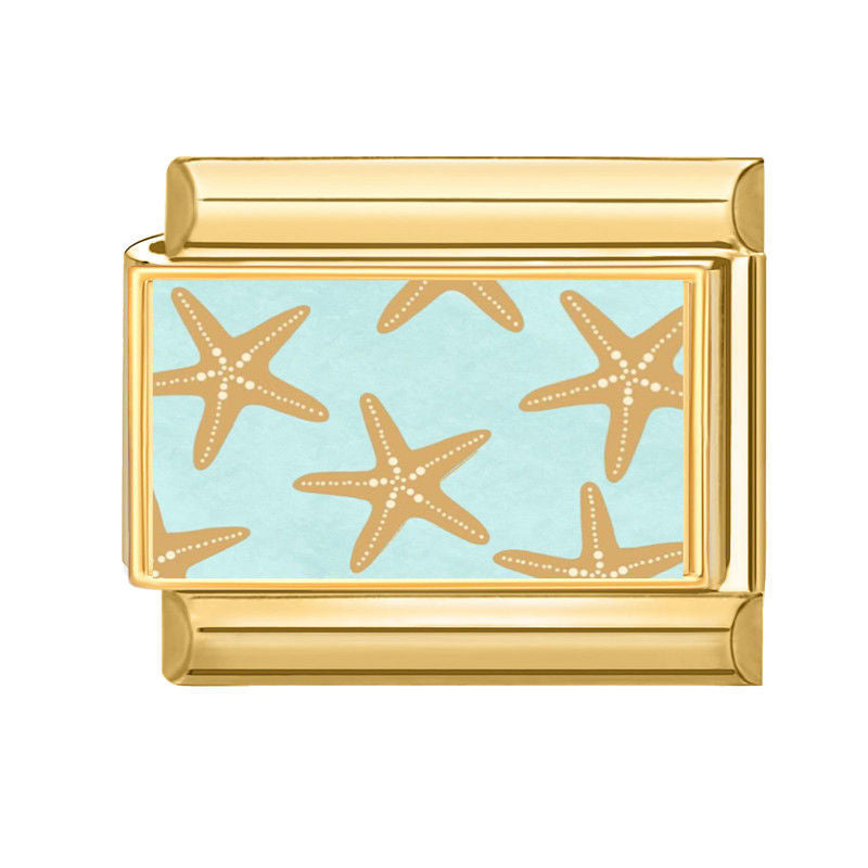 Etoile de mer